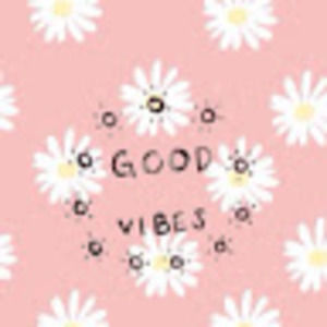 Meet your Posher, Chandra